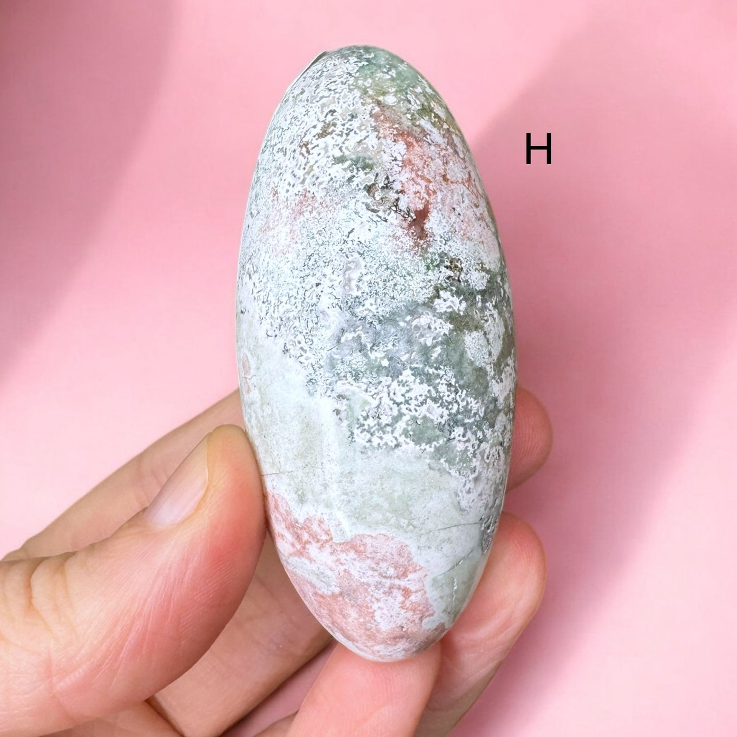 Unicorn Jasper Shivas | Choose Your Own