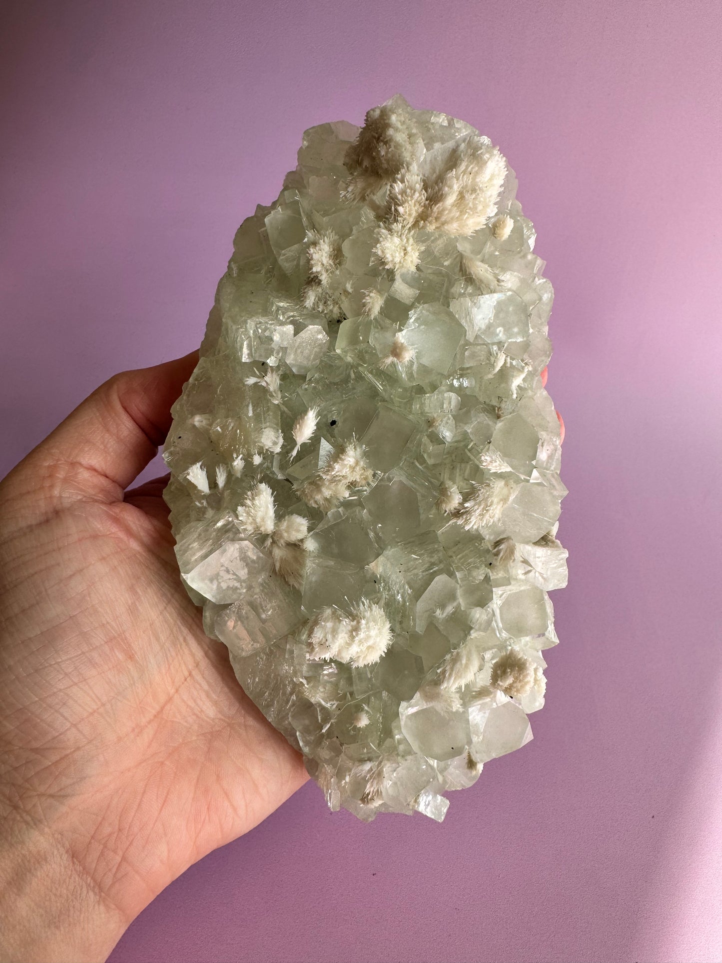 Sea Foam Green Apophyllite with Mordenite Specimen