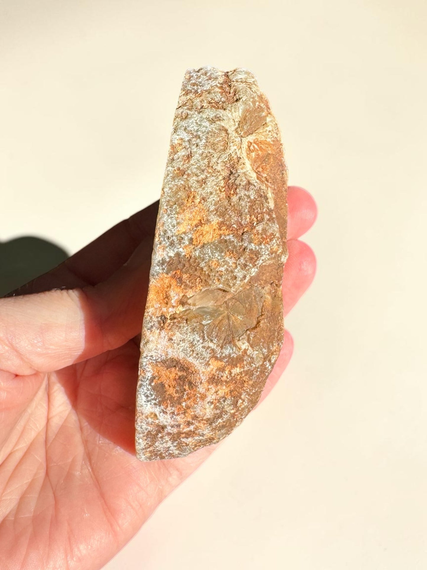 Australian Jelly Prehnite Specimen