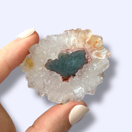 Stalactite Slice Specimen (E)