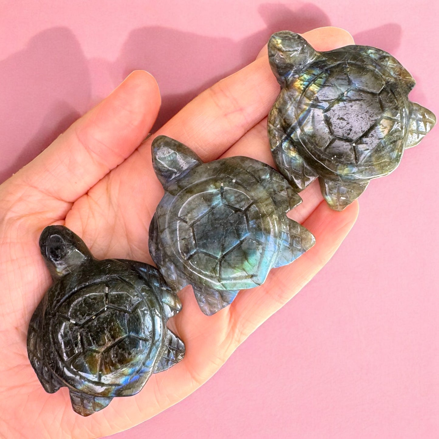 Labradorite Turtle Carving | Intuitively Chosen