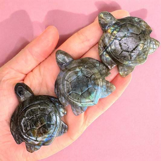 Labradorite Turtle Carving | Intuitively Chosen