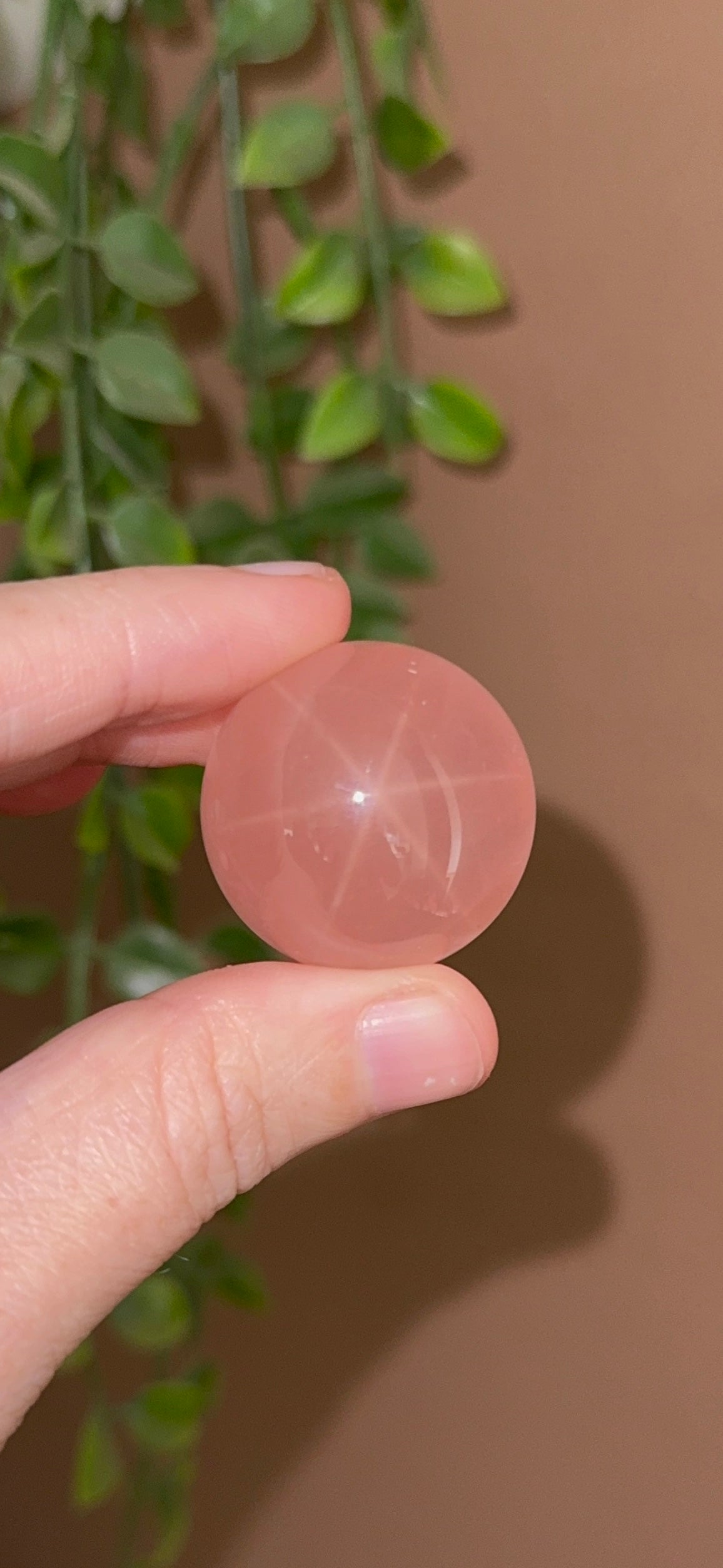 HQ Strawberry Gumdrop Rose Quartz Sphere with Asterim