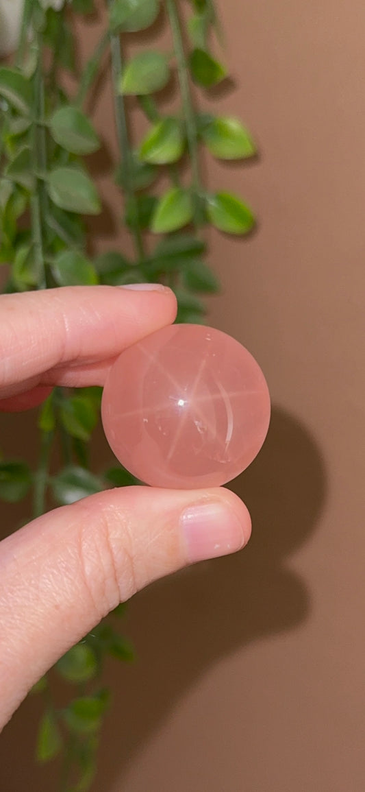 HQ Strawberry Gumdrop Rose Quartz Sphere with Asterism