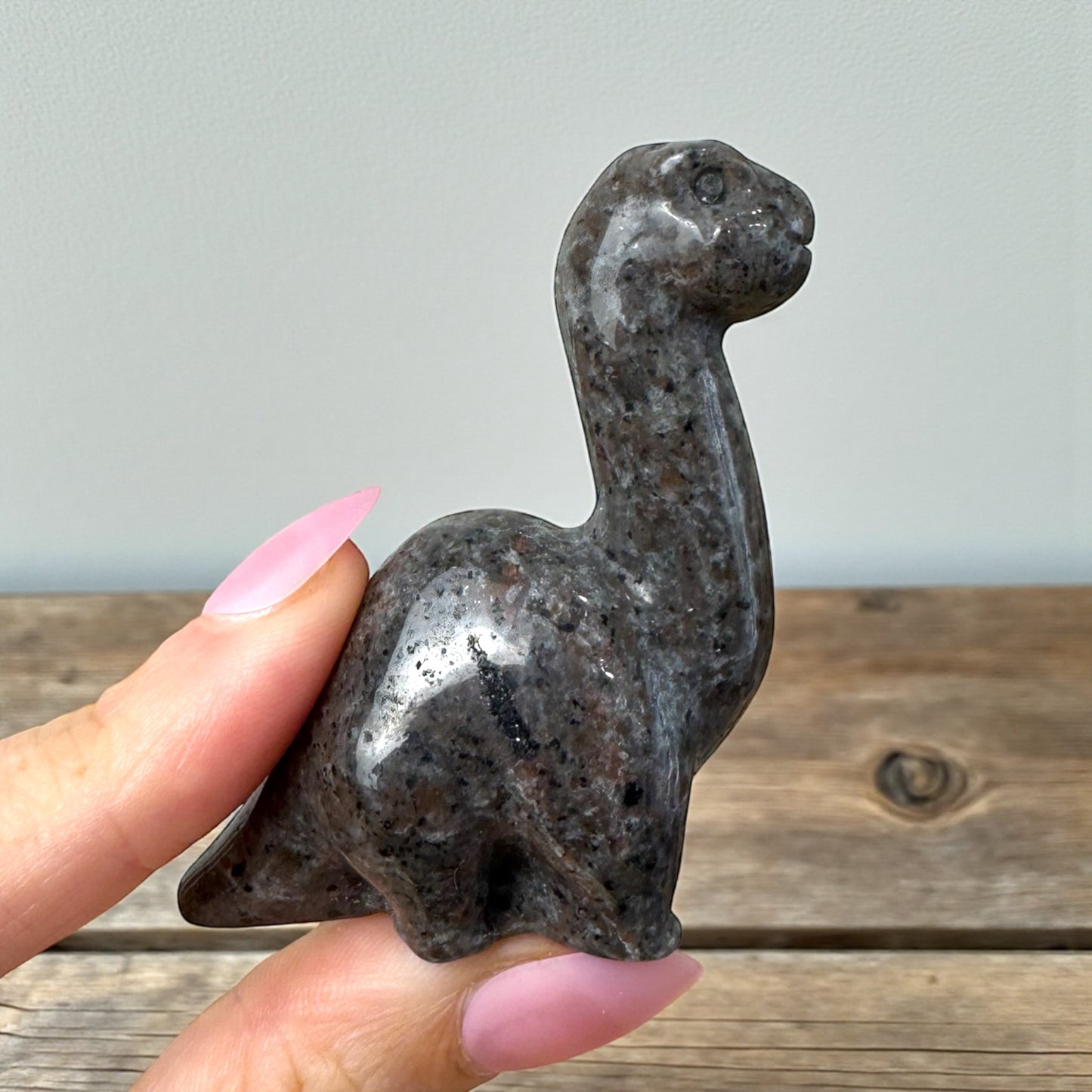 Yooperlite Dino Carving