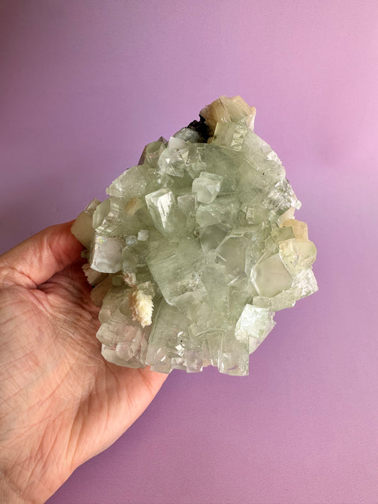 Sea Foam Green Apophyllite with Peach Silbite and Mordenite Specimen