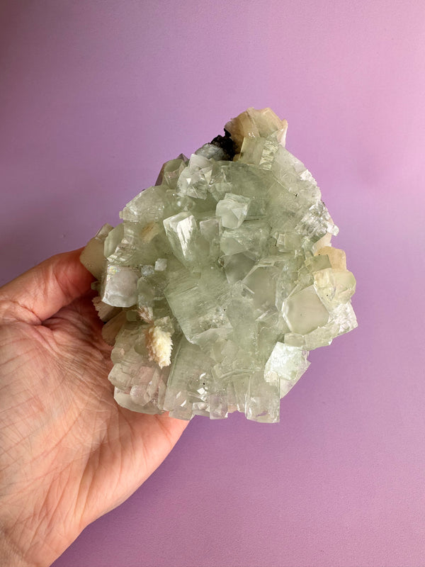 Sea Foam Green Apophyllite with Peach Silbite and Mordenite Specimen