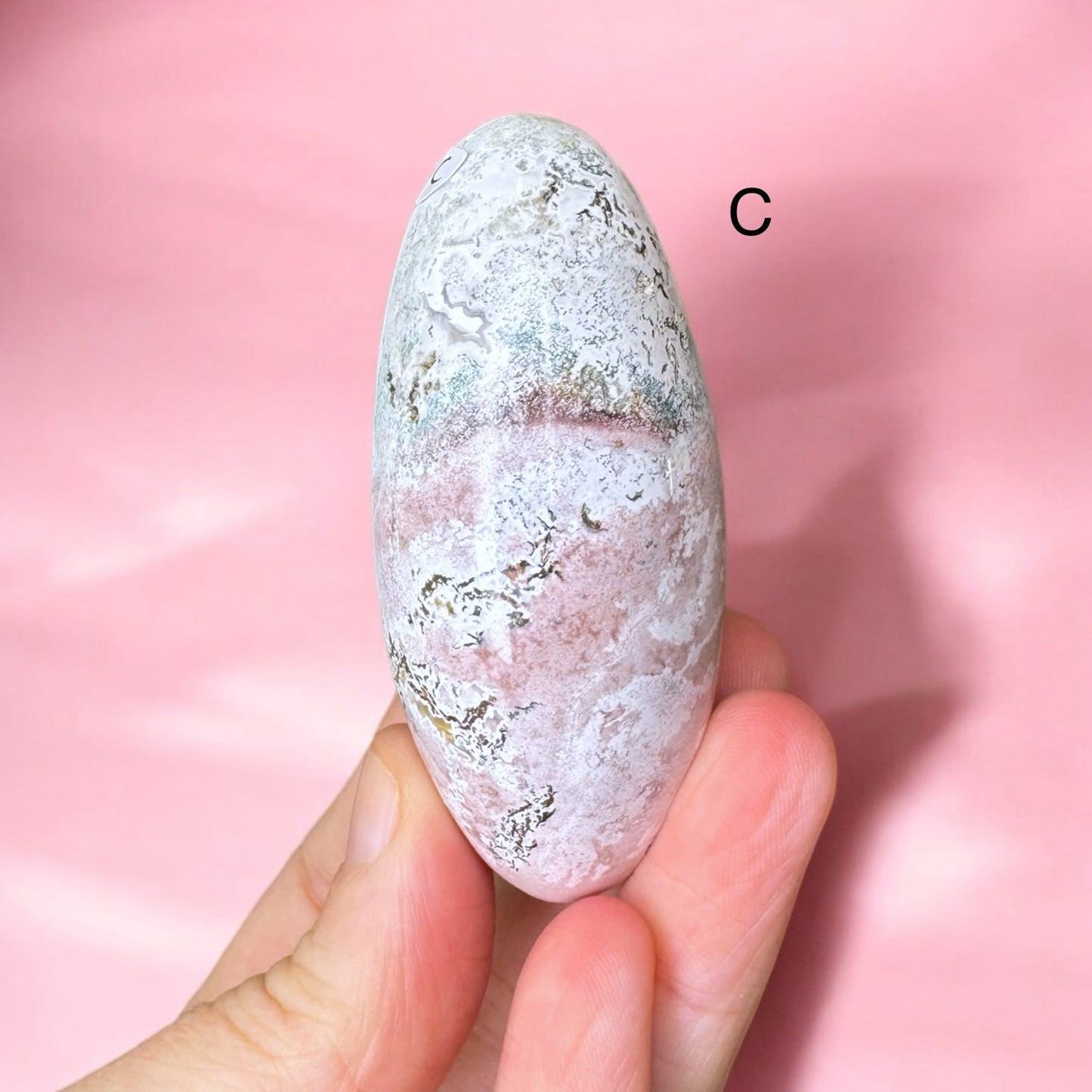 Unicorn Jasper Shivas | Choose Your Own