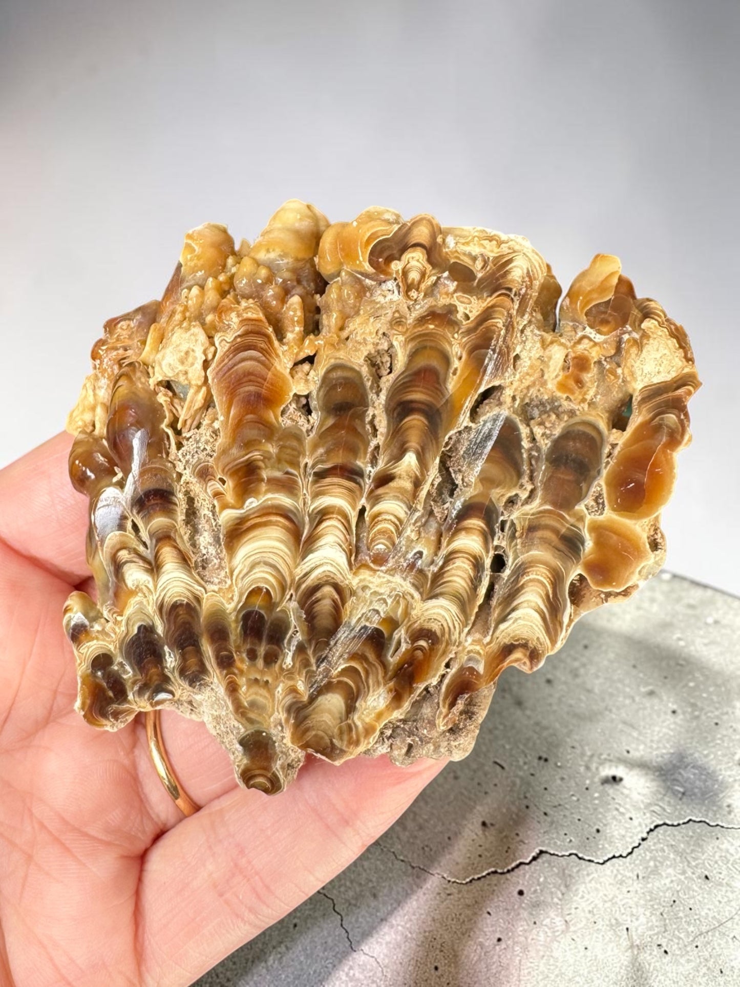 Caramel Aragonite Stalactite Slice - Morocco