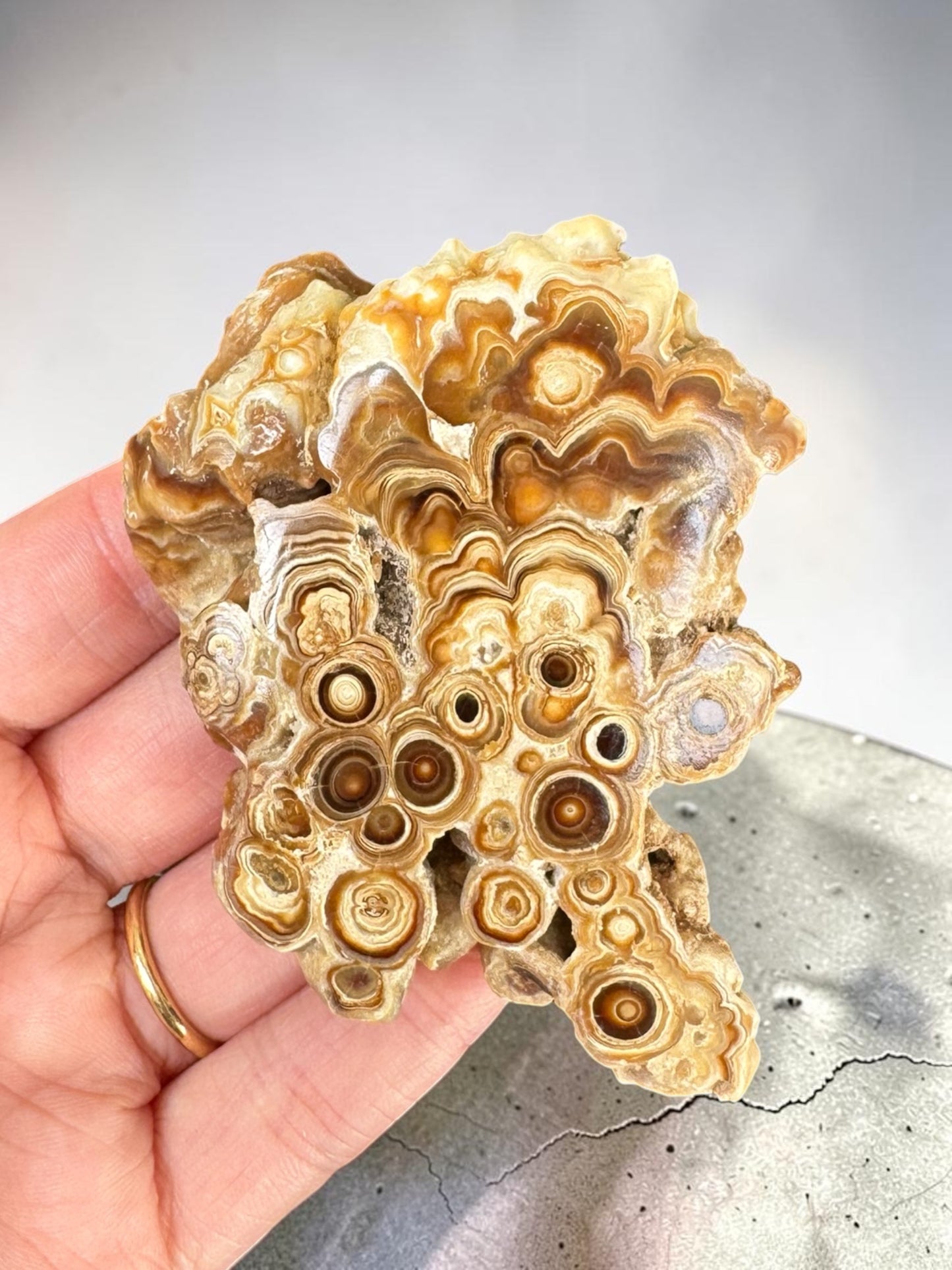 Caramel Aragonite Stalactite Slice - Morocco