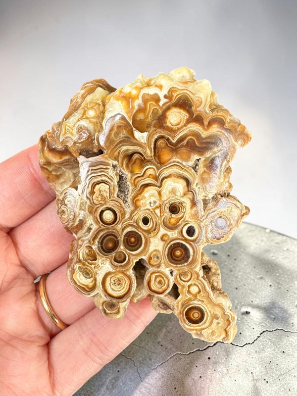 Caramel Aragonite Stalactite Slice - Morocco