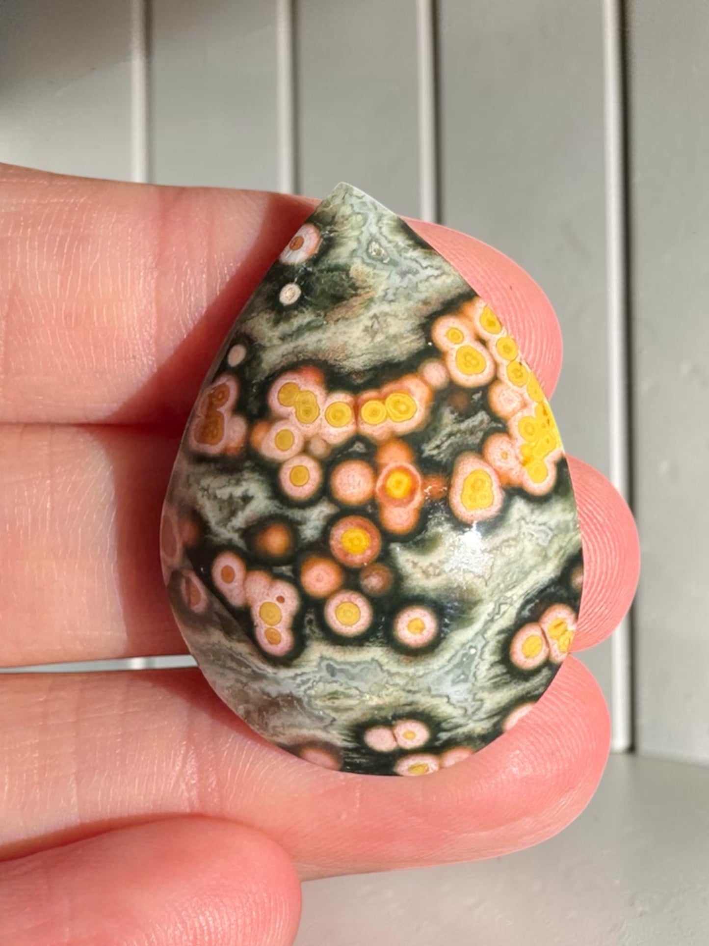 Ocean Jasper Cab