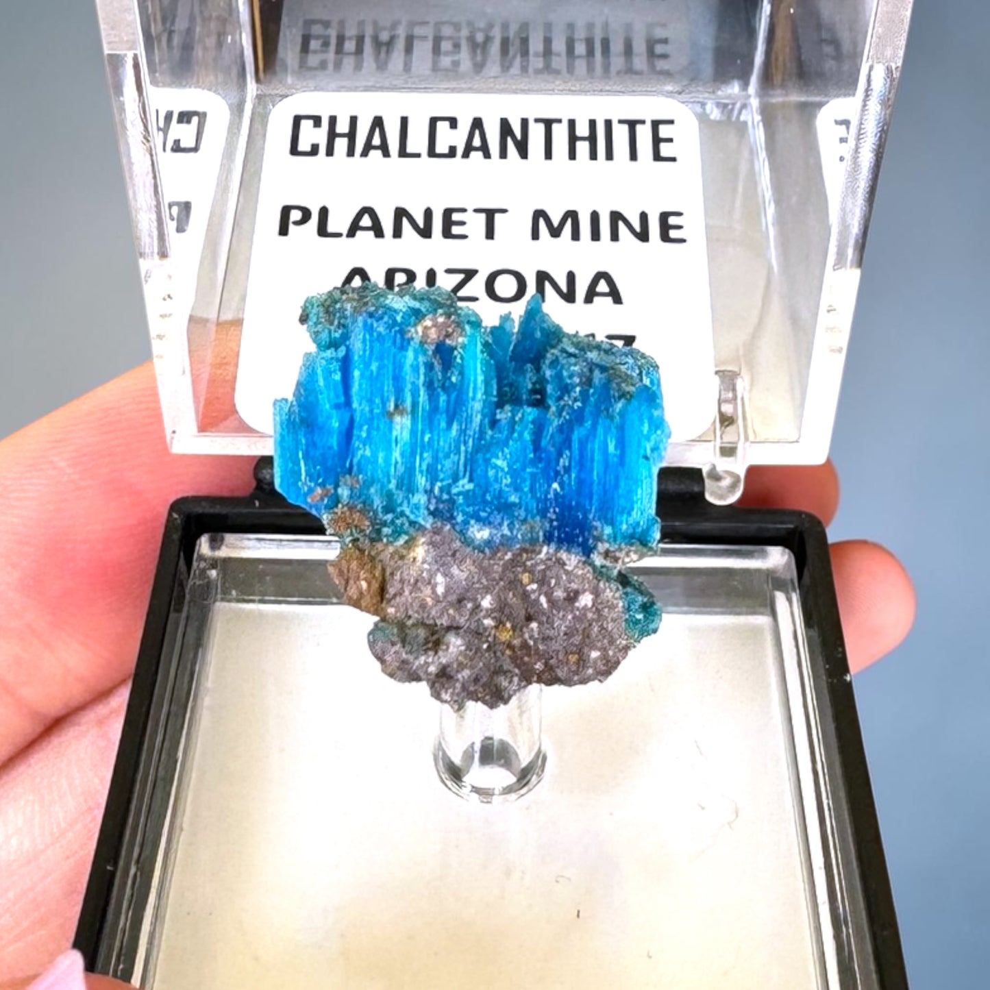 Electric Blue Chalcanthite Specimen