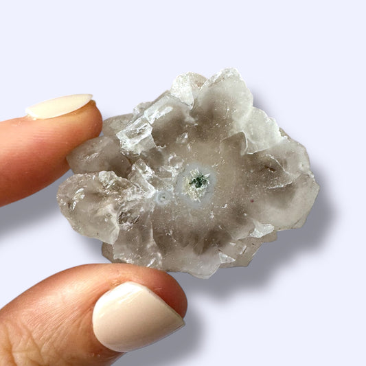 Stalactite Slice Specimen (C)