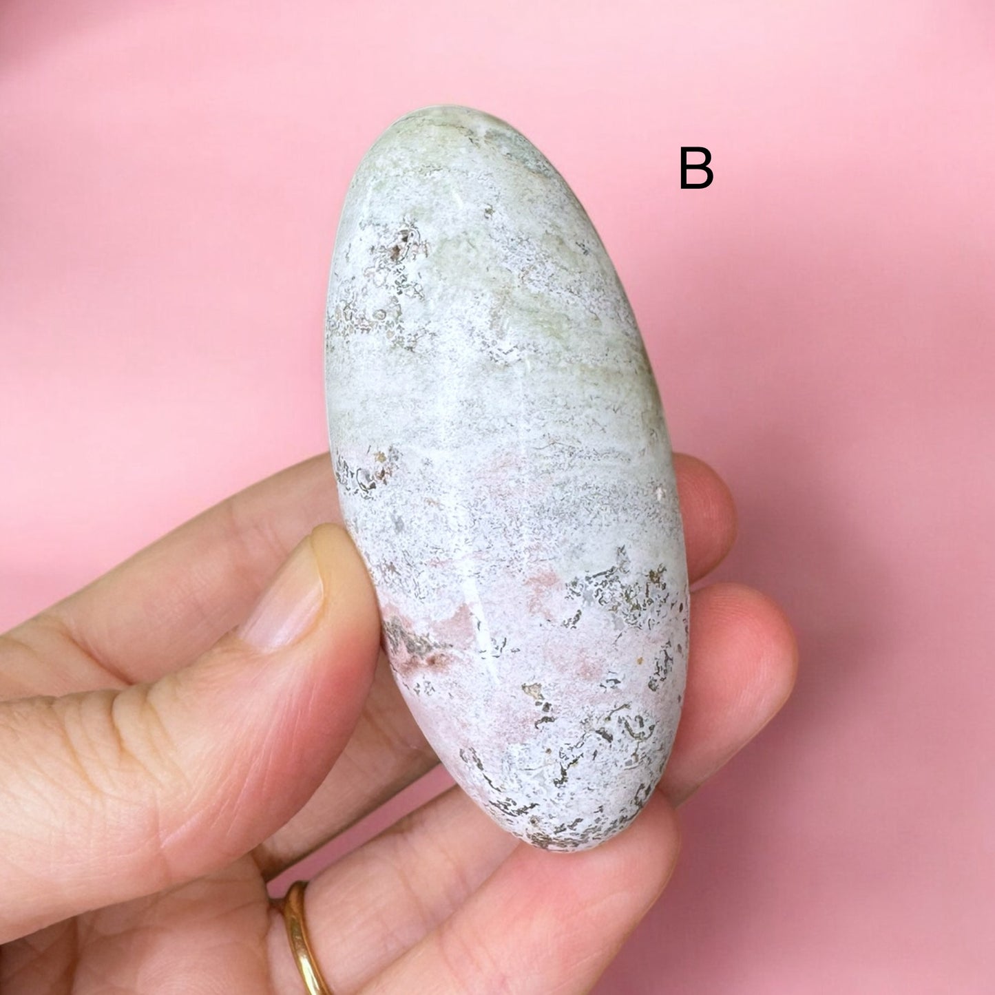 Unicorn Jasper Shivas | Choose Your Own
