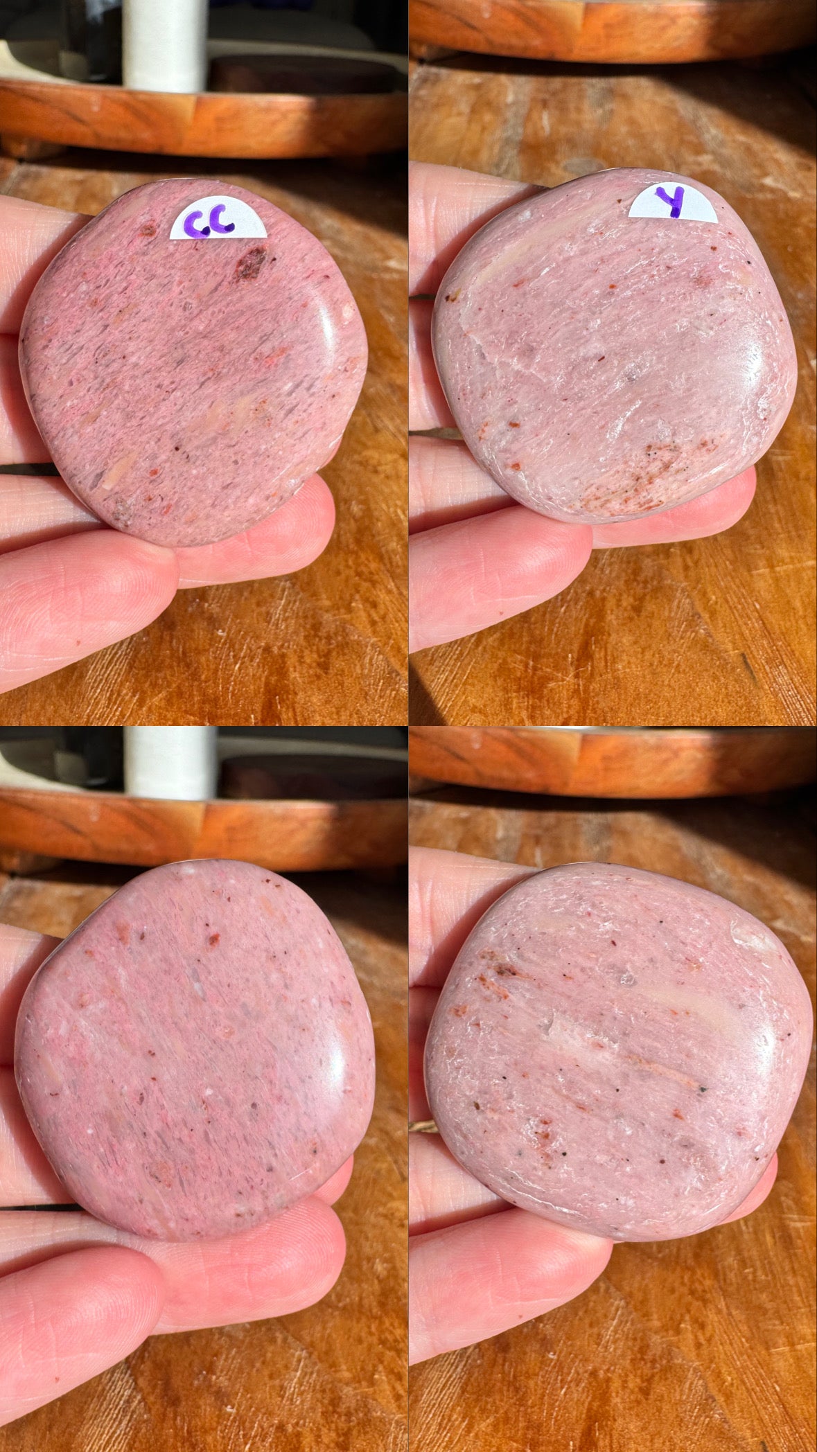 Pink Petrified Wood Flat Stones | Choose Your Own