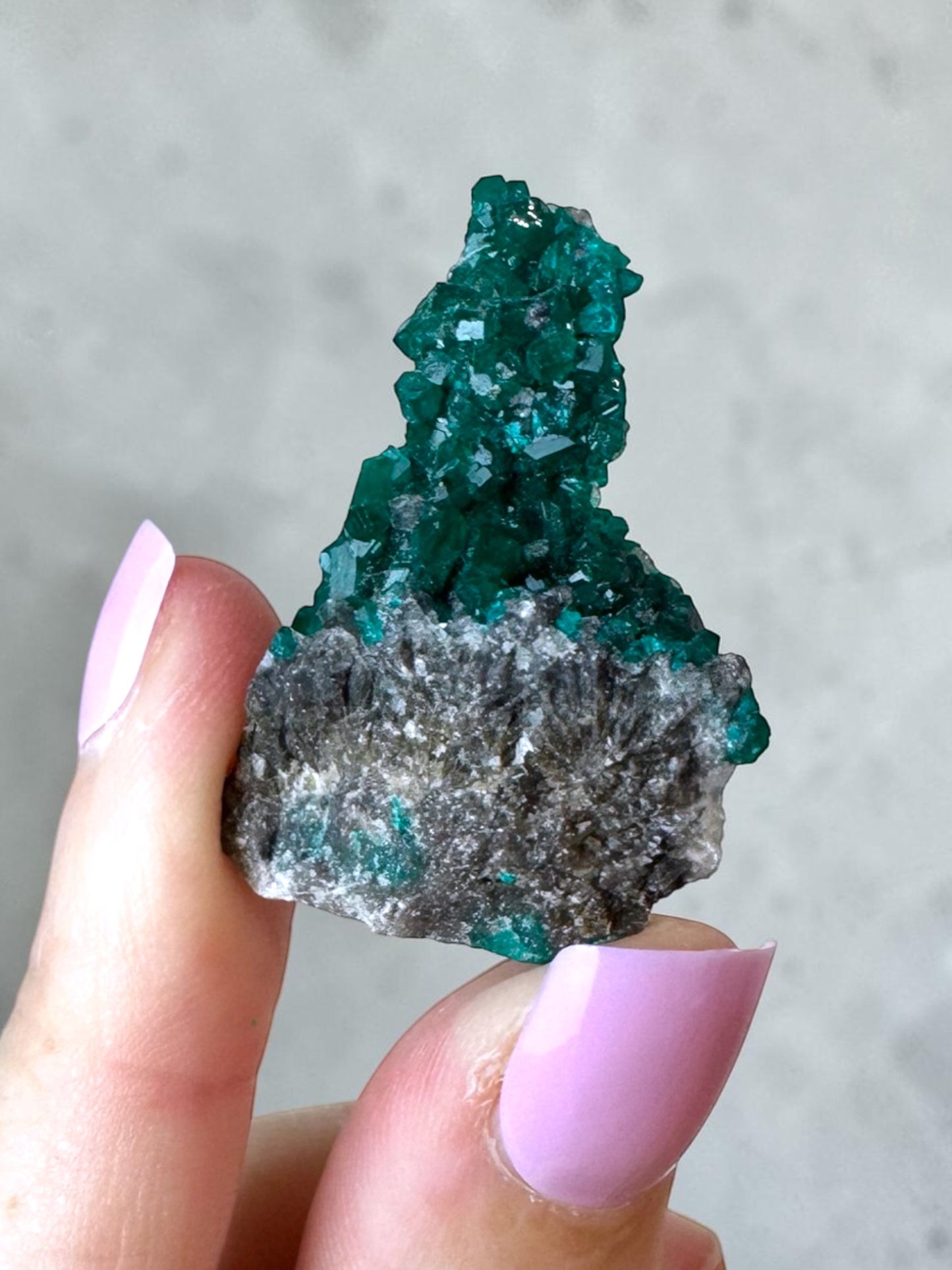 Rare Dioptase Specimen - Congo