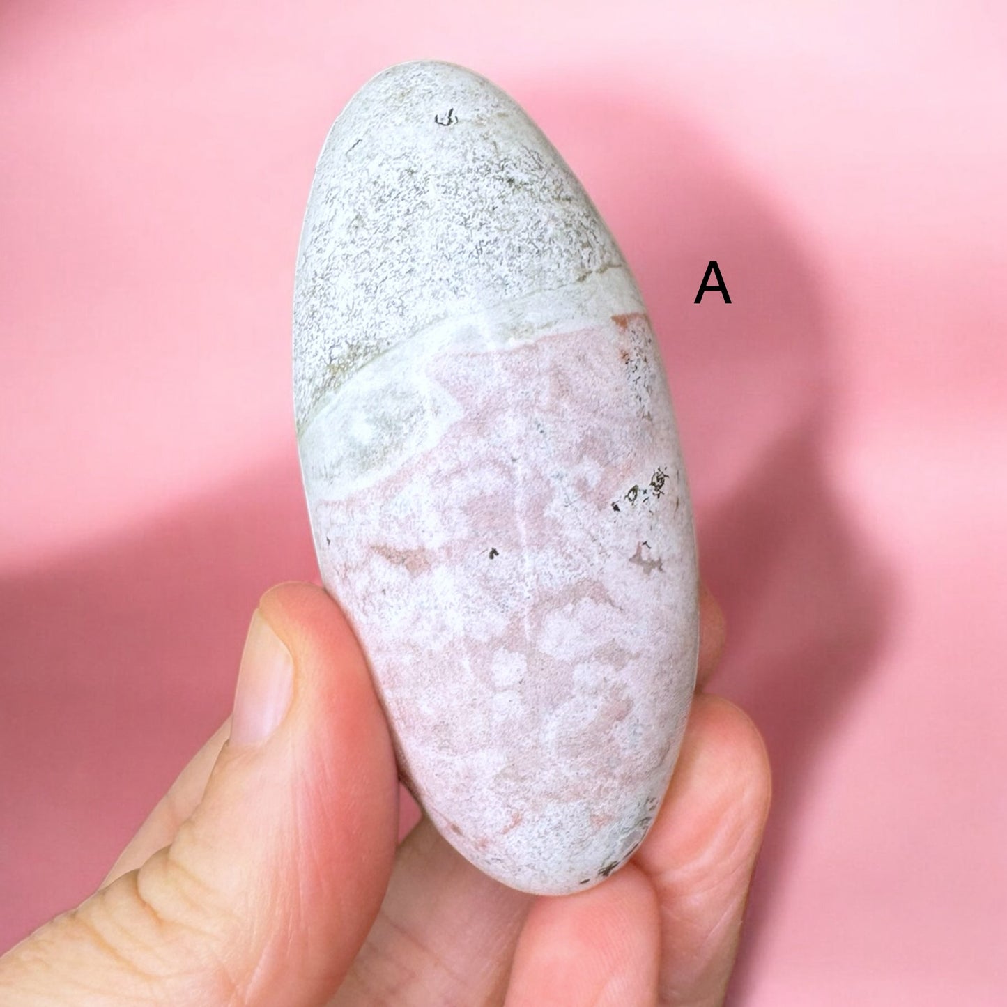 Unicorn Jasper Shivas | Choose Your Own