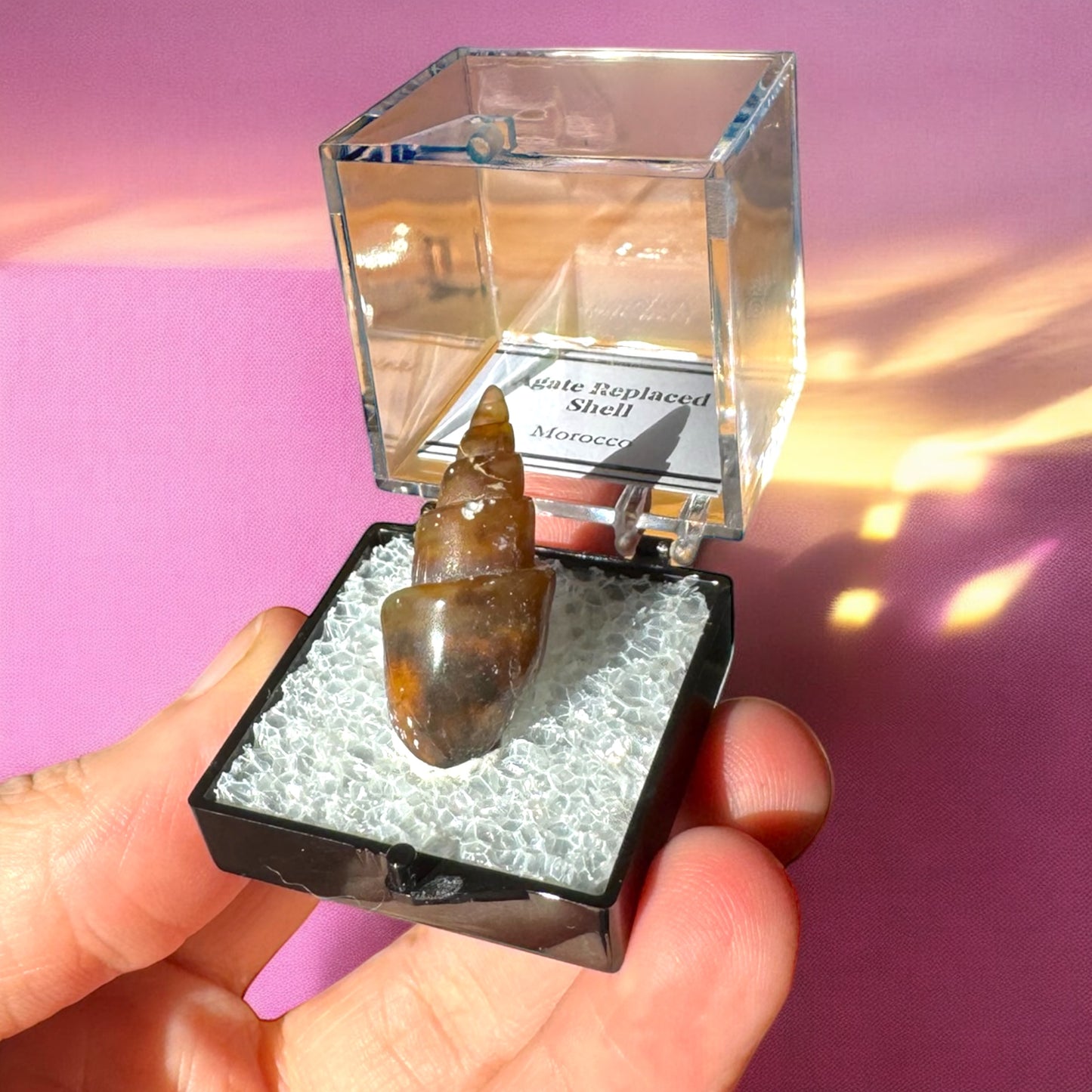 Agate Replaced Shell