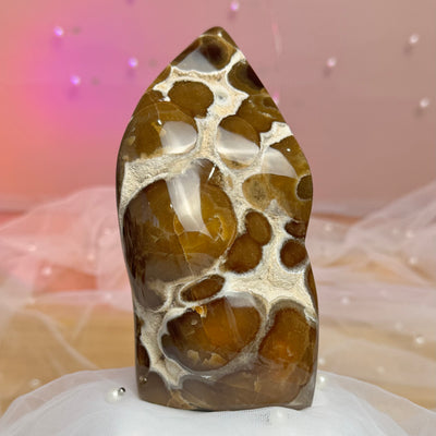 Leopard Chocolate Calcite Freeform