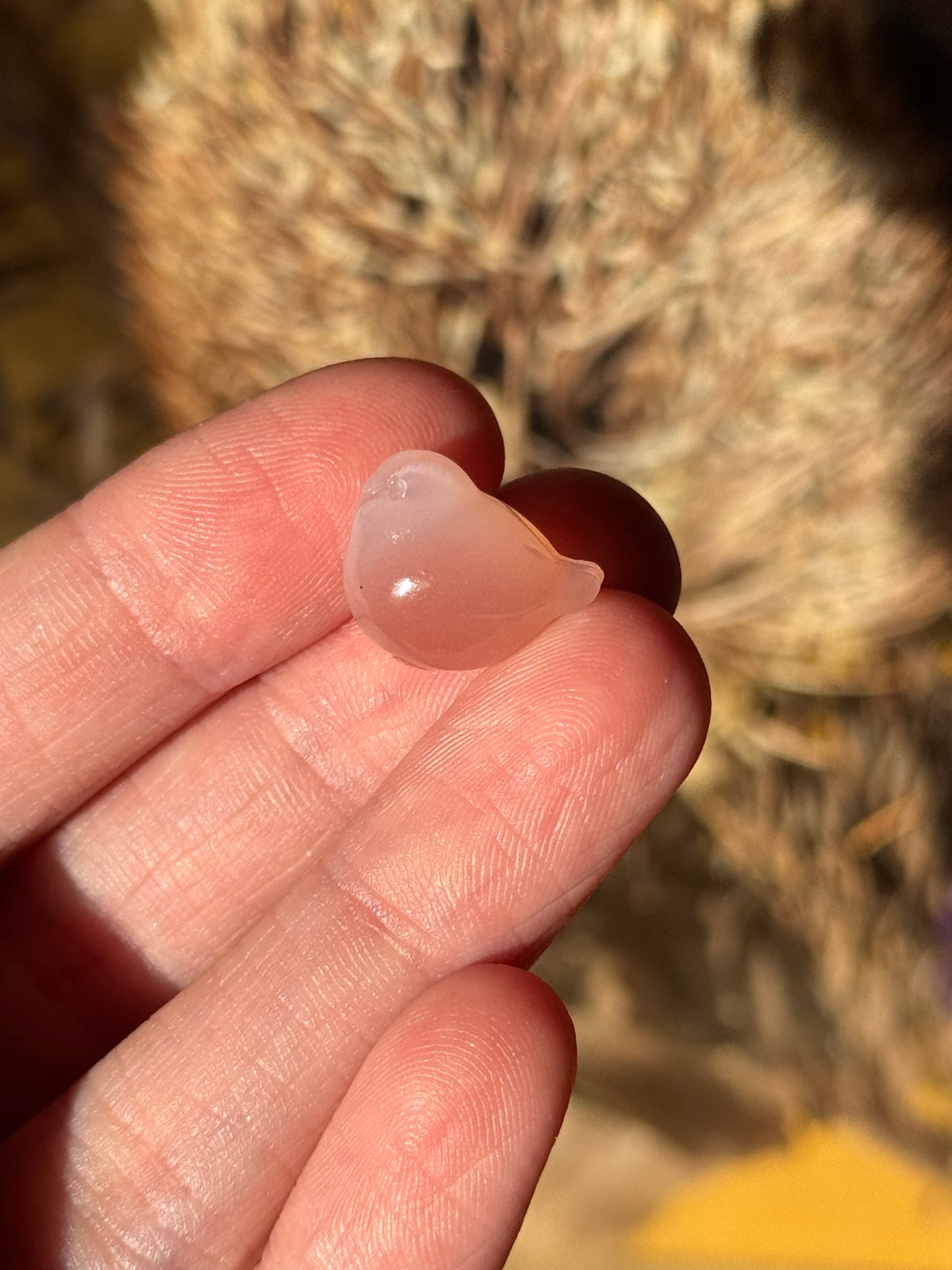 Alashan Agate Mini Pigeon Carving