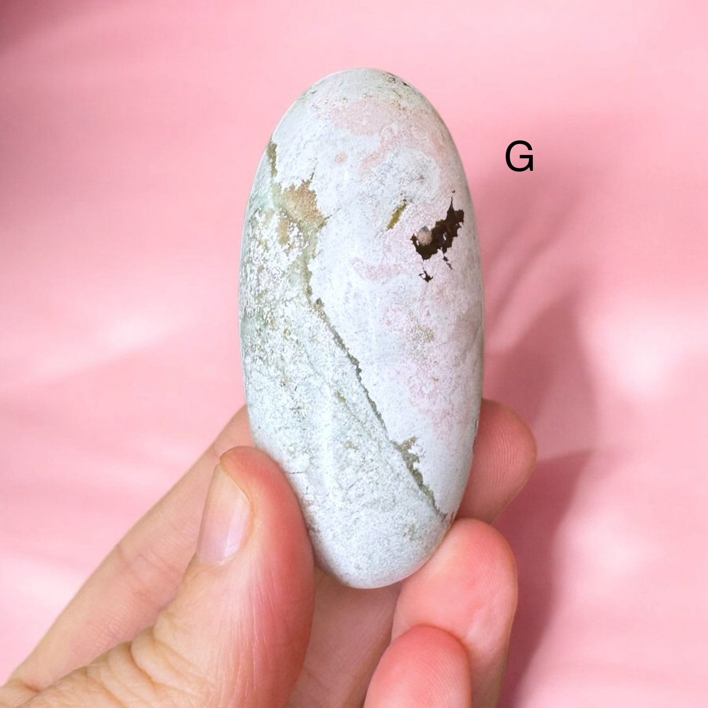 Unicorn Jasper Shivas | Choose Your Own