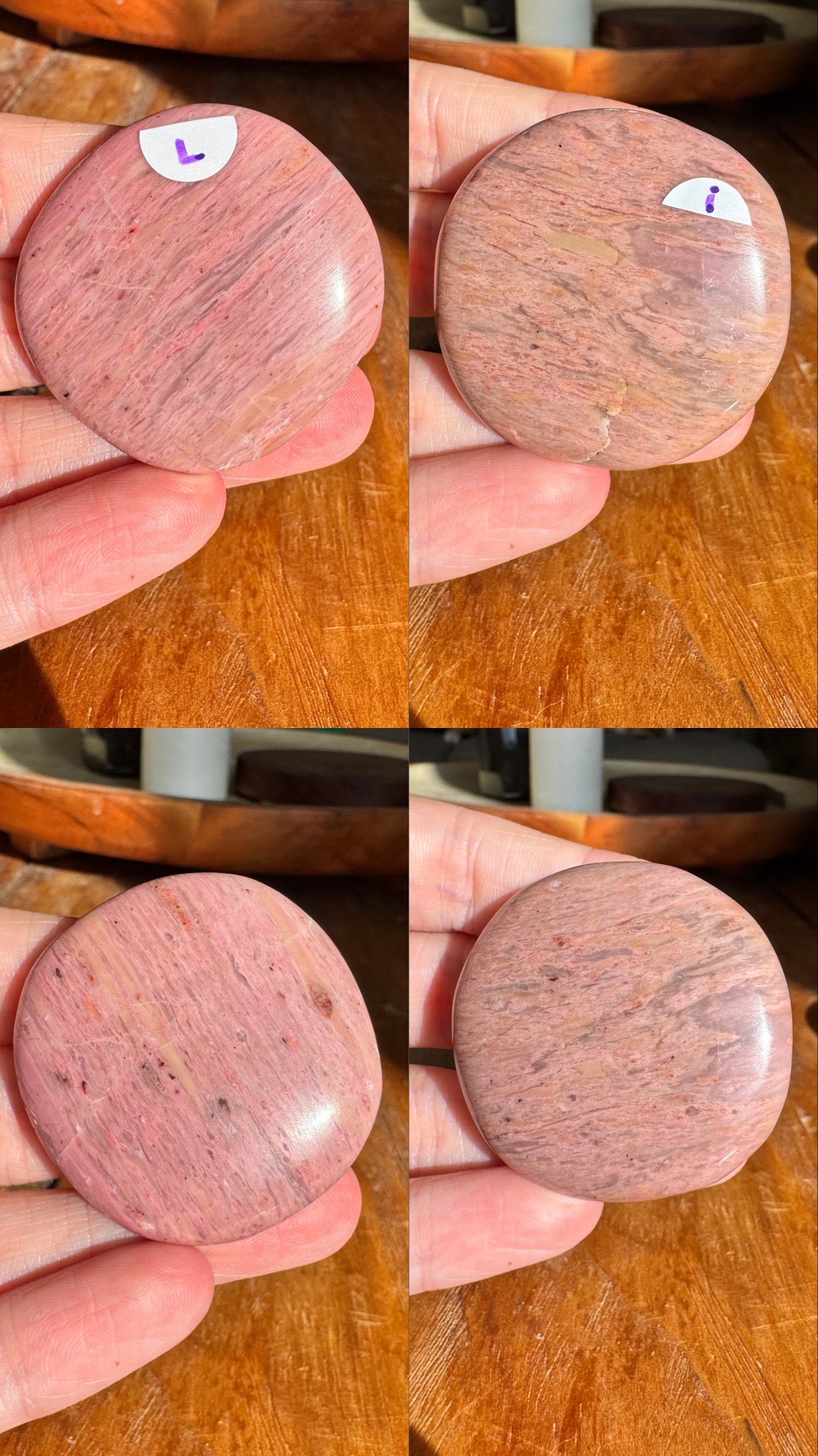 Pink Petrified Wood Flat Stones | Choose Your Own