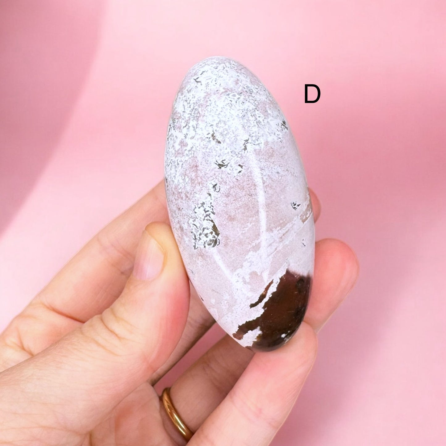 Unicorn Jasper Shivas | Choose Your Own