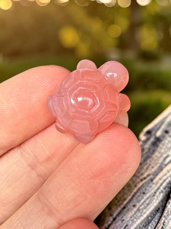 Alashan Agate Mini Turtle Carving