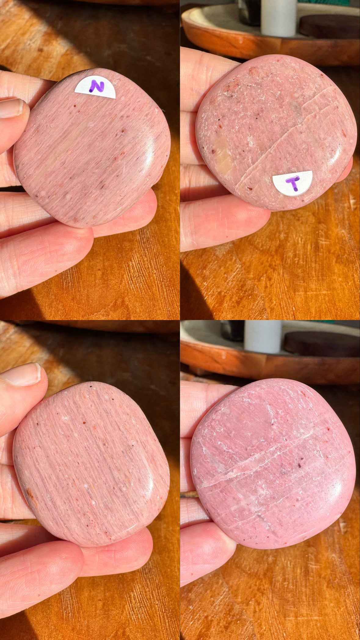 Pink Petrified Wood Flat Stones | Choose Your Own