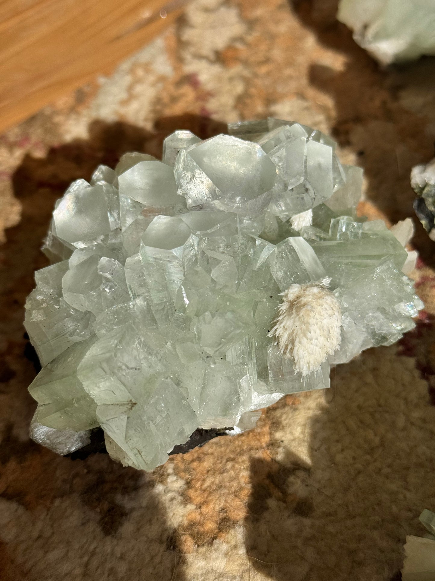 Sea Foam Green Apophyllite with Peach Silbite and Mordenite Specimen