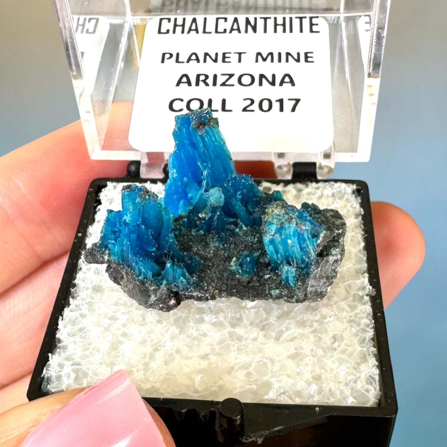 Electric Blue Chalcanthite Specimen