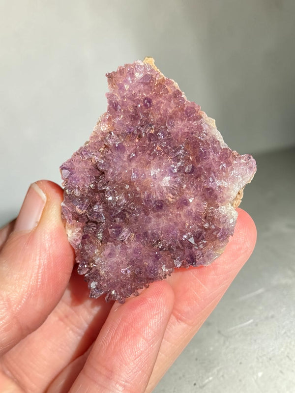 Alacam Amethyst Cluster ~ Turkey