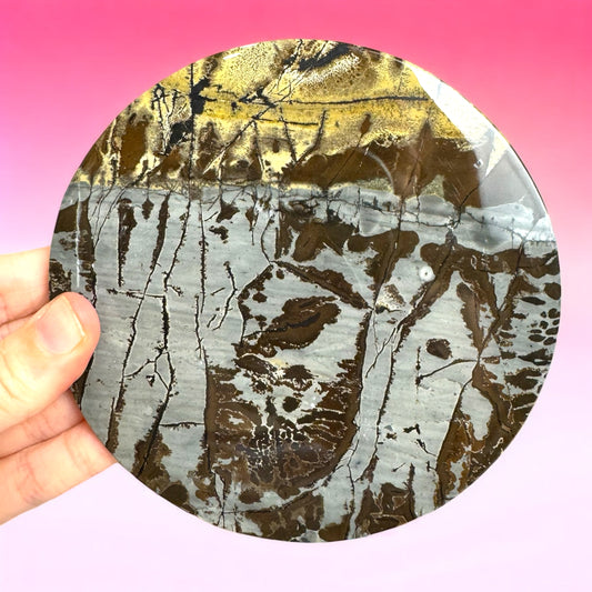 Picture Jasper Plate/Slab - Comes with Stand