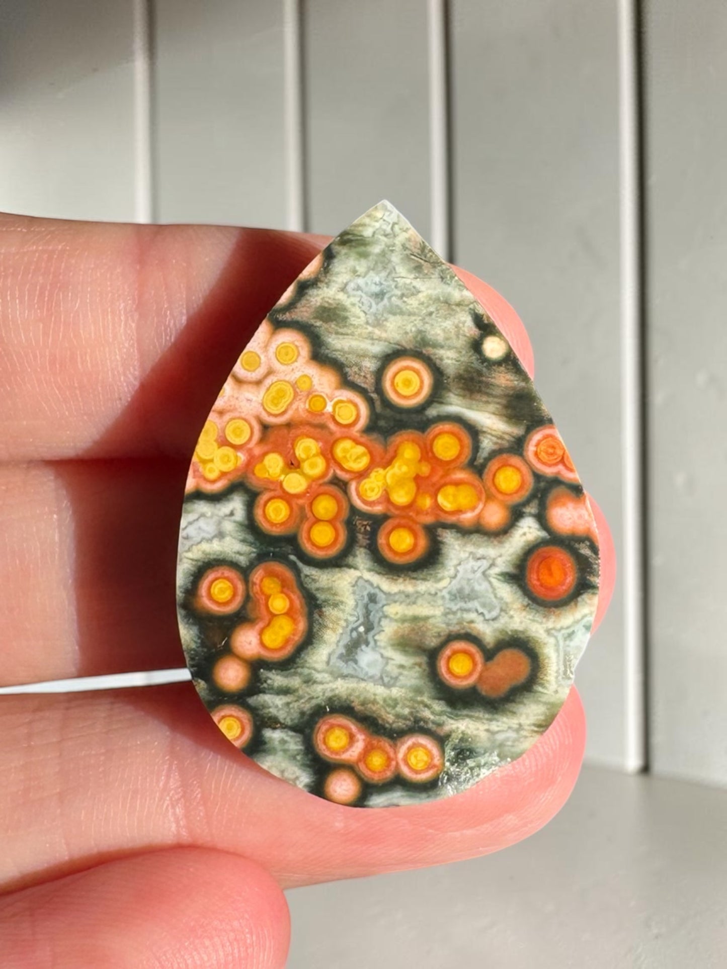 Ocean Jasper Cab