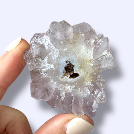 Stalactite Slice Specimen (C)