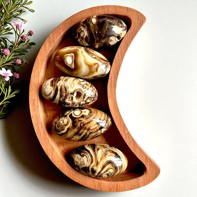 Chocolate Calcite Shivas | Intuitively Chosen