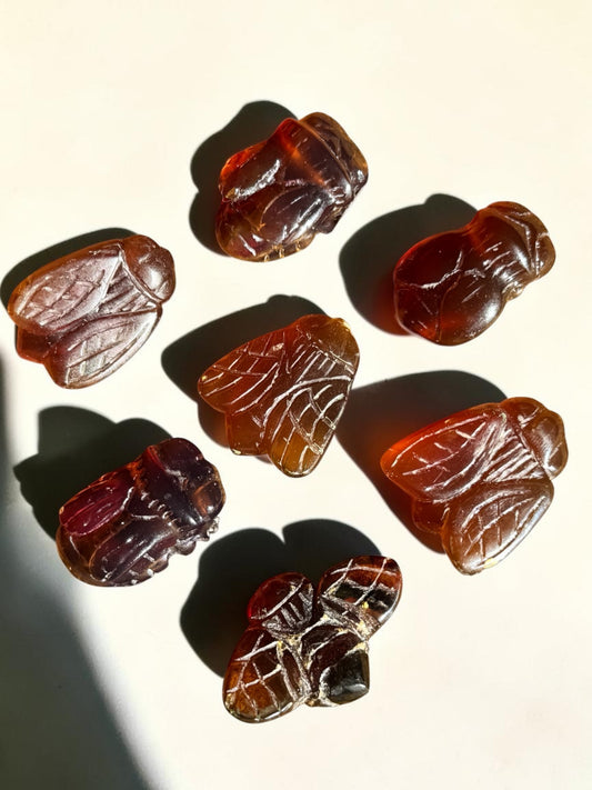 Amber Critter Carving - Choose Your Own