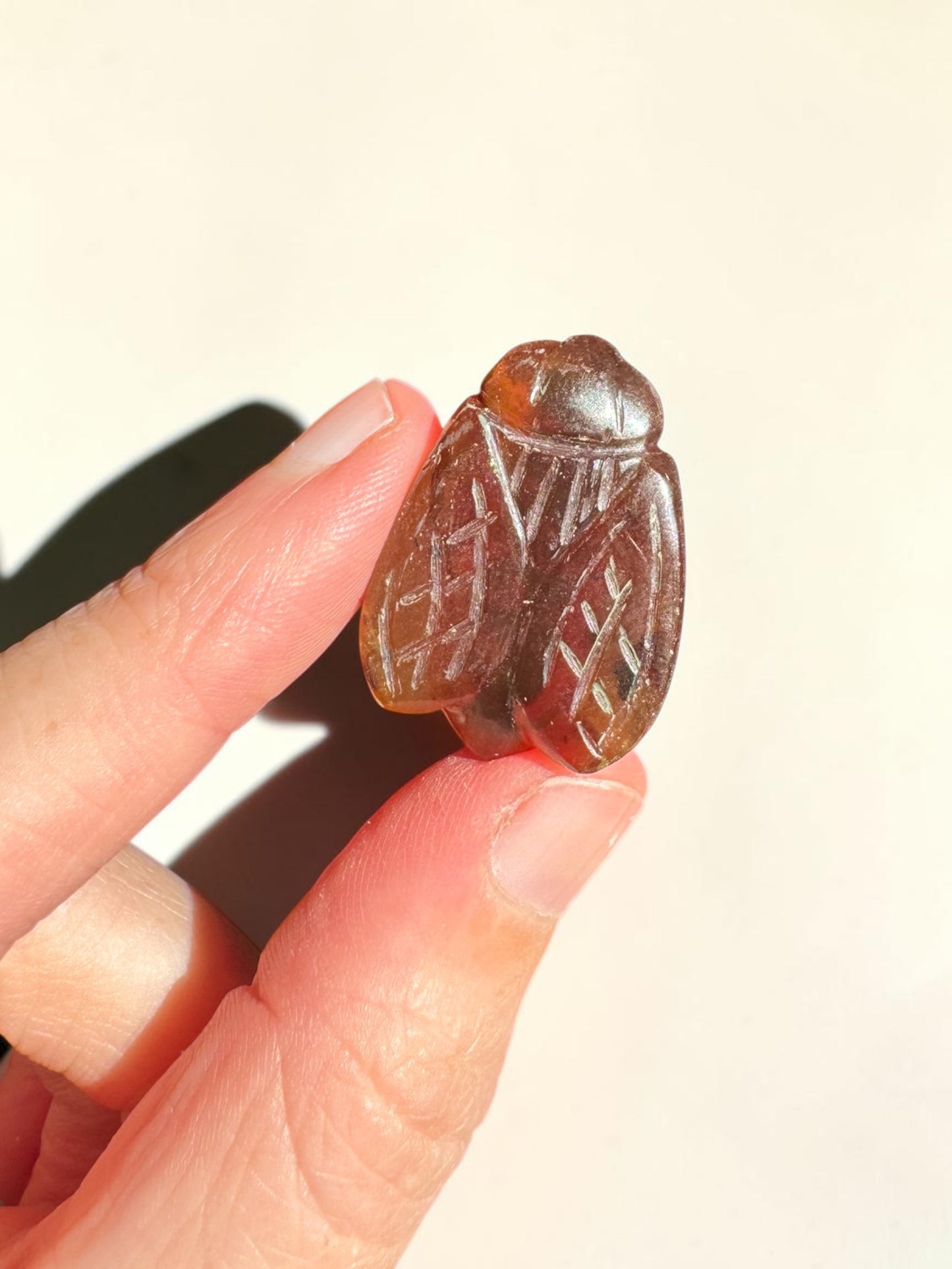 Amber Critter Carving - Choose Your Own