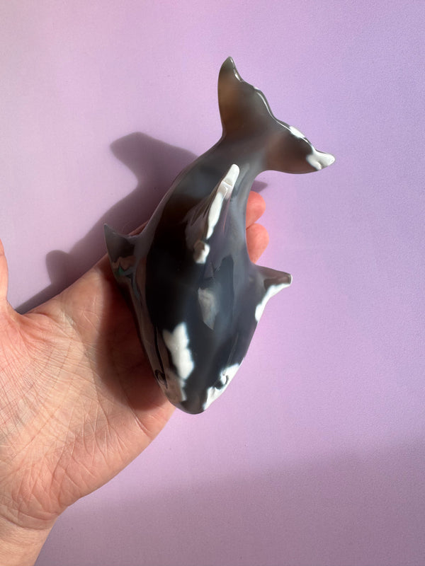 Orca Agate Whale Shark Carving