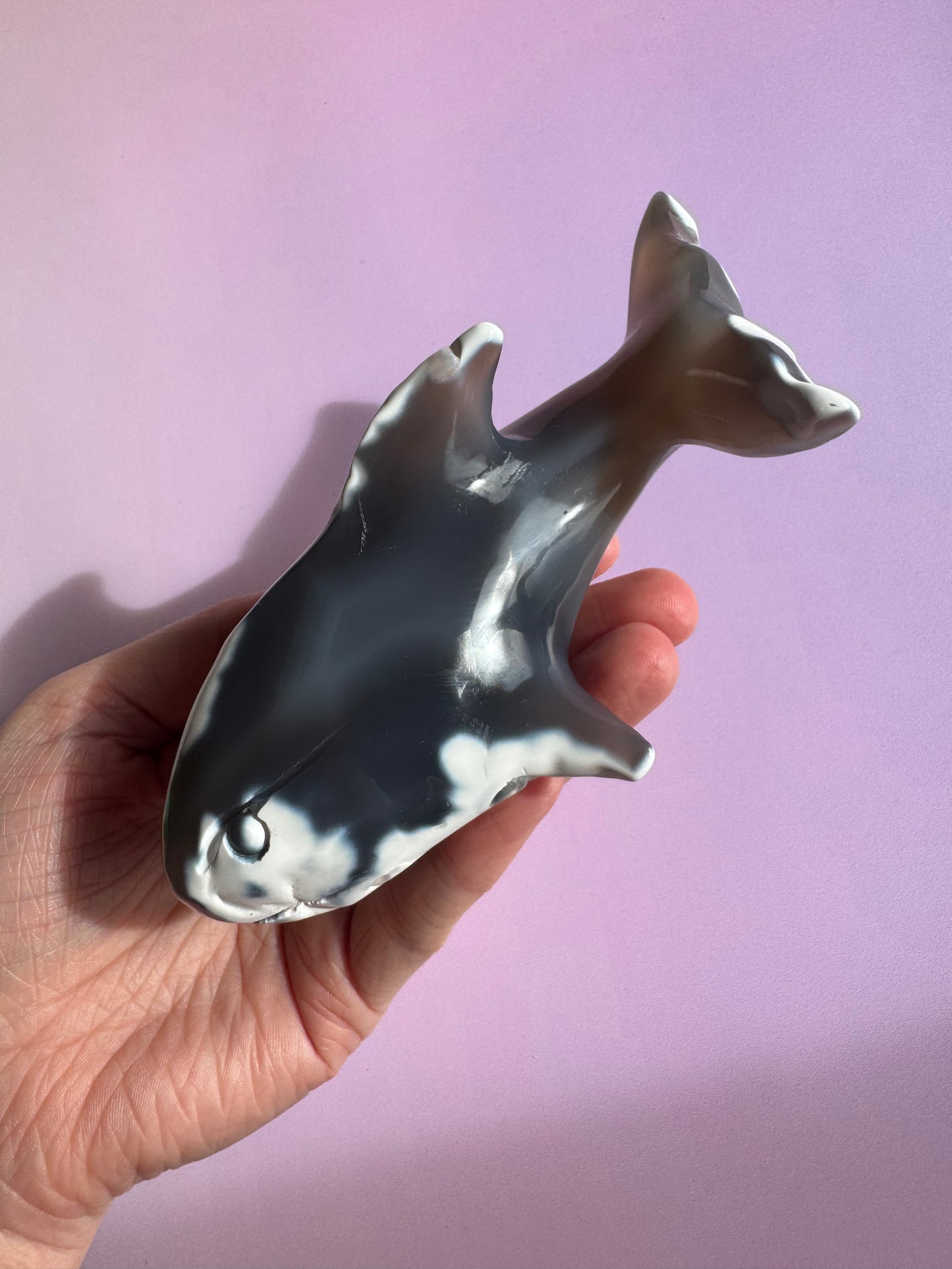 Orca Agate Whale Shark Carving