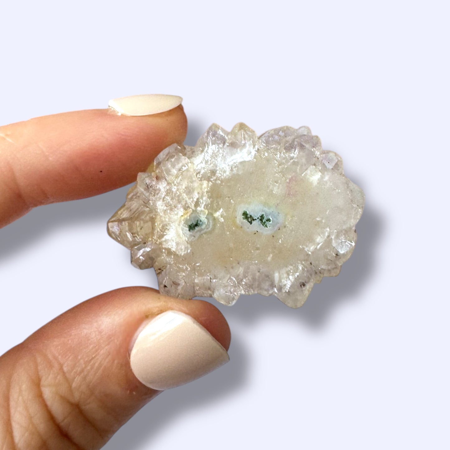 Stalactite Slice Specimen (B)