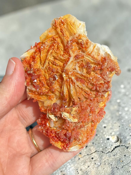 Vanadinite Specimen ~ Morocco