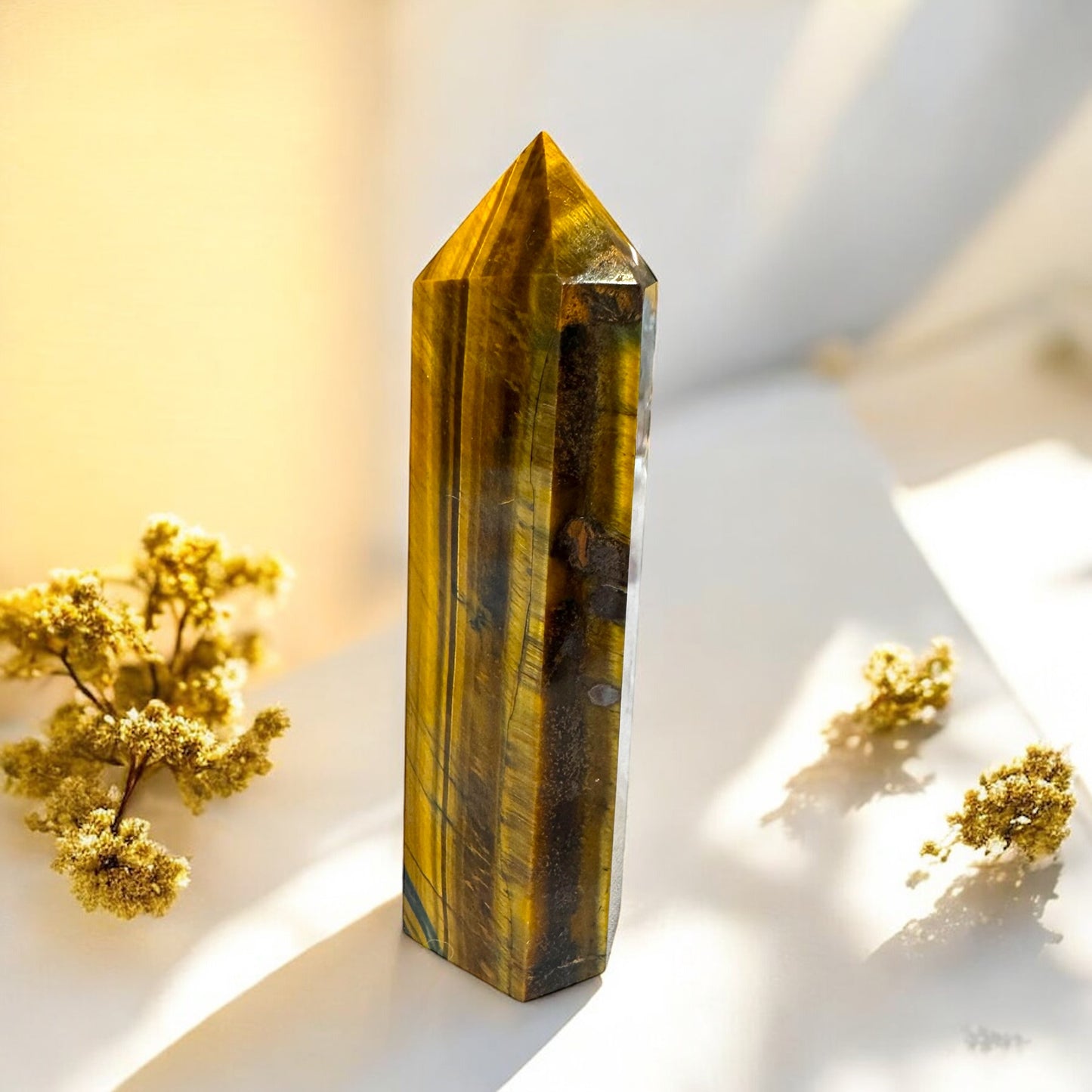 Tigers Eye Point (b) 9cm