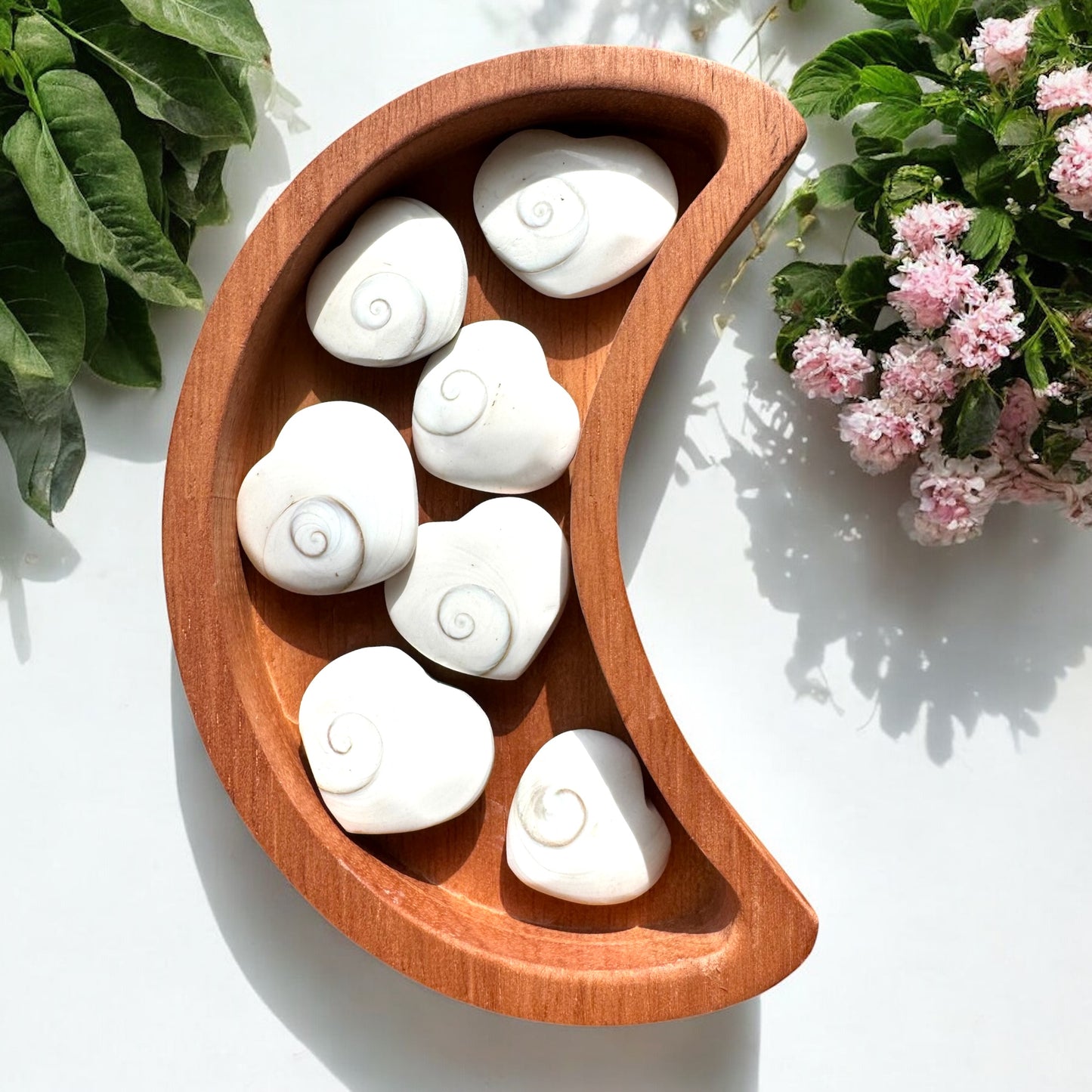 Mermaid Coins (Shiva Shell Hearts)