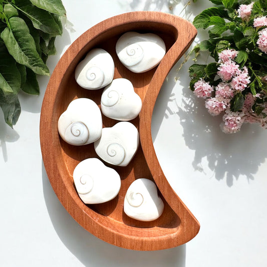 Mermaid Coins (Shiva Shell Hearts)