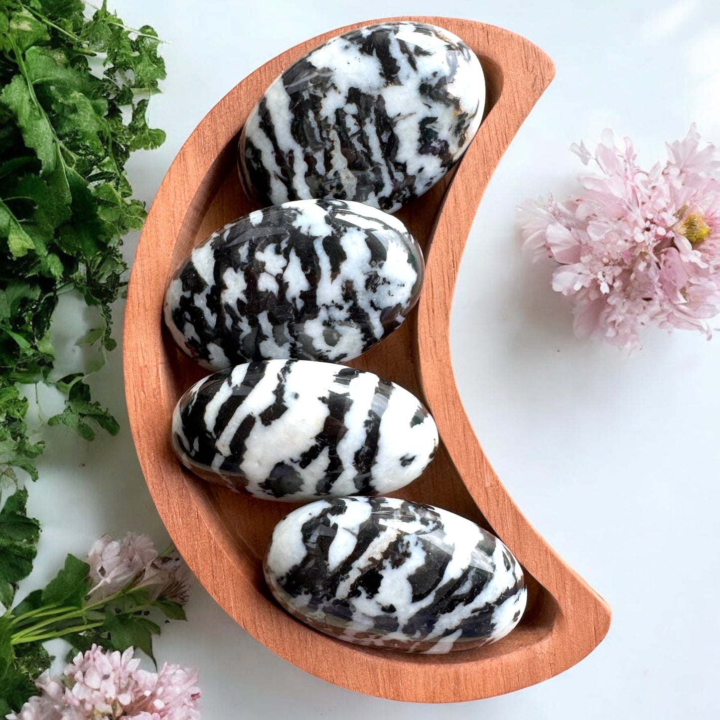Zebra Stone Palmstones | Intuitively Chosen