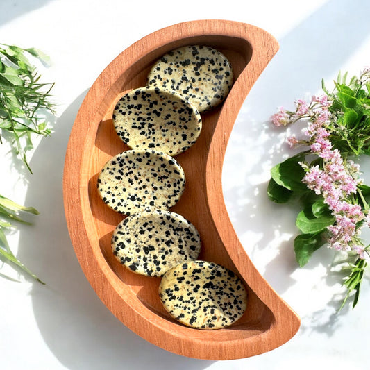 Dalmatian Jasper Worry Stones