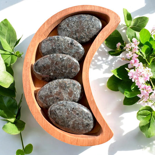 Yooperlite Palmstones