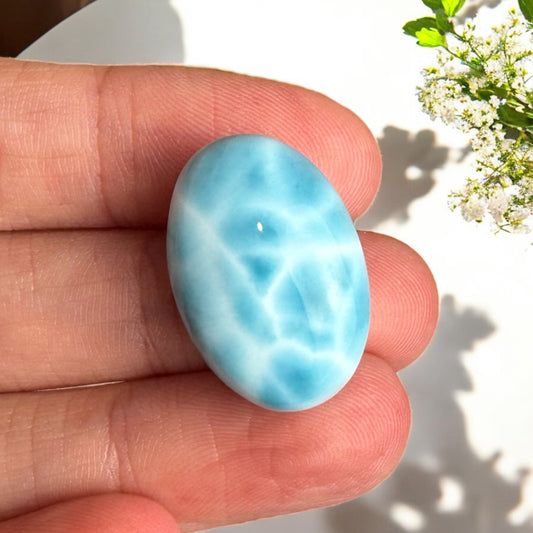 Larimar Cab